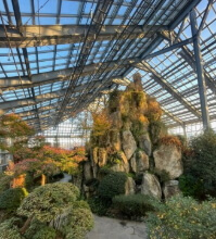 우리꽃식물원 6일간 무료 개방