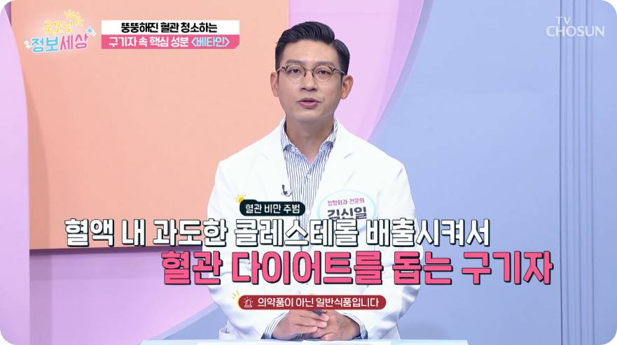 tv조선 굿모닝 정보세상 구기자