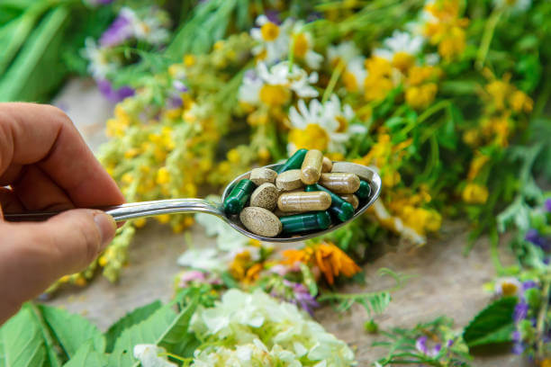 수험생 영양제 추천: 집중력과 면역력 높이는 필수 영양소