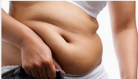 트랜스지방이란? 트랜스 지방이 많은 음식