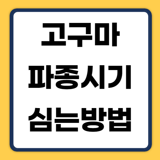 고구마 파종시기, 심는방법