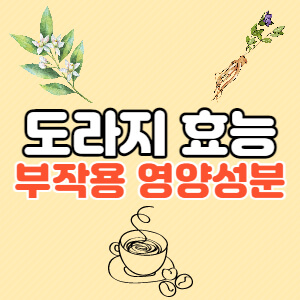 도라지-효능-부작용