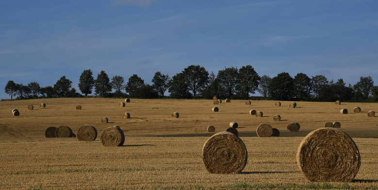 농작물 재해보험: 가입 조건부터 신청