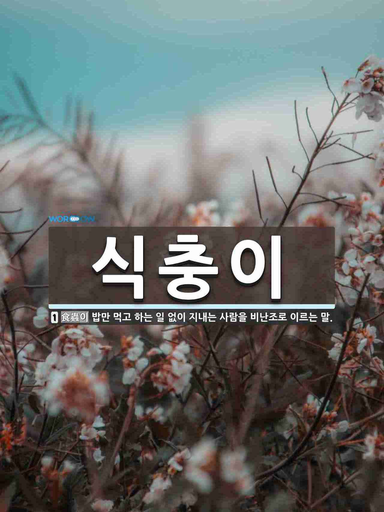 식충이 심는 방법