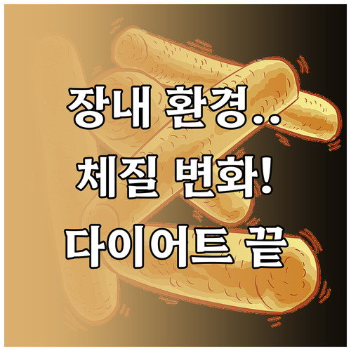 장내 환경 개선을 통한 체질 변화 및..