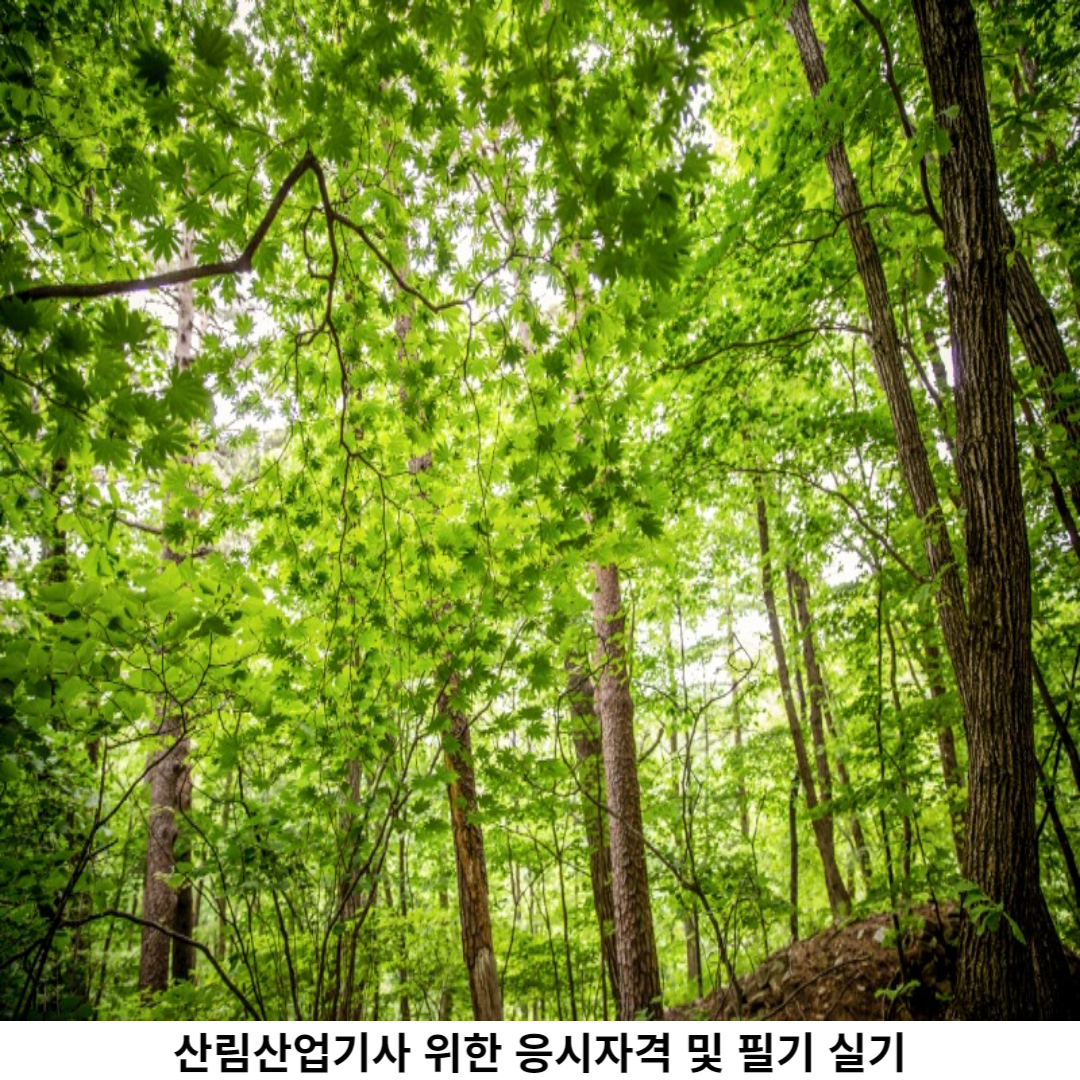 산림산업기사 응시 자격