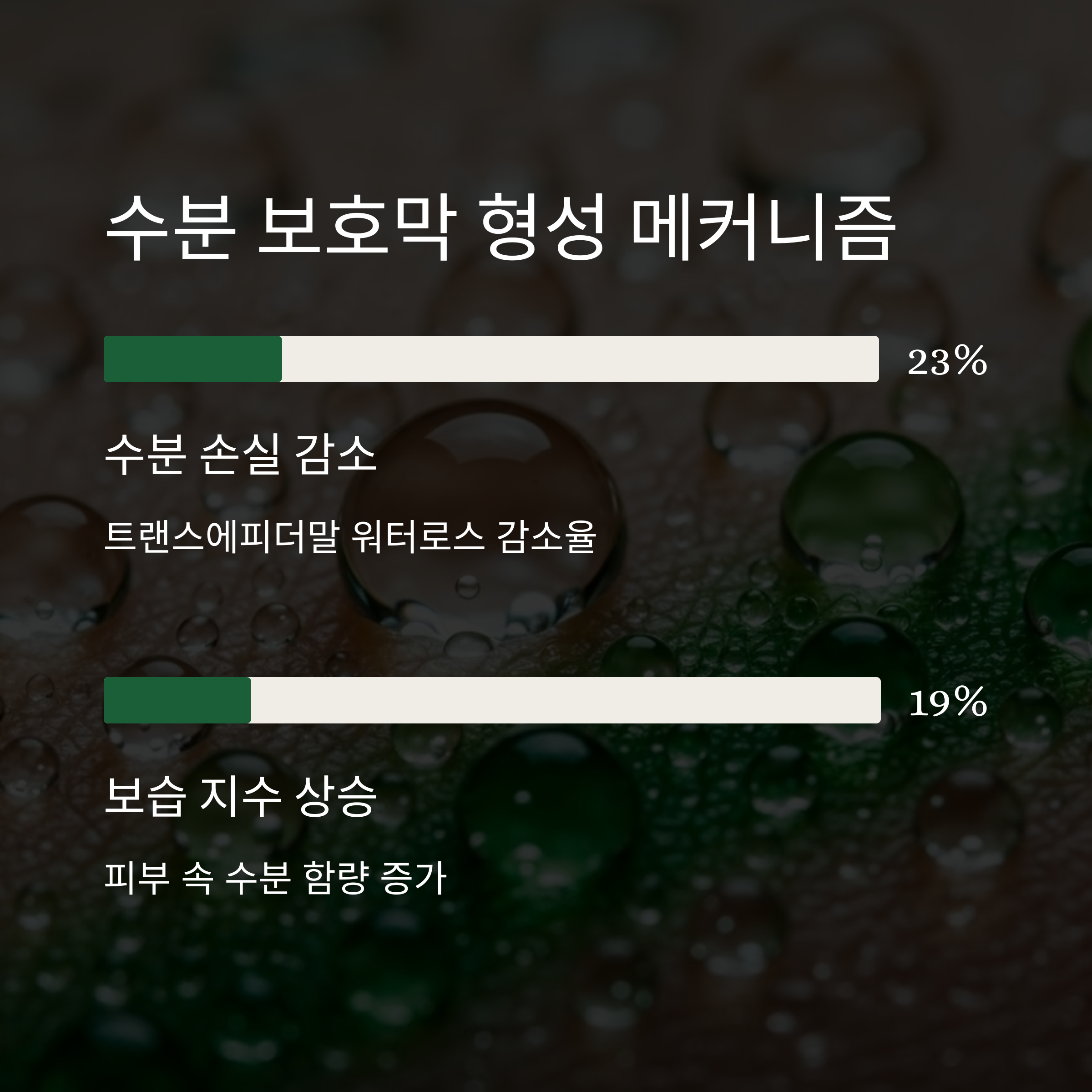 수분 보호막 형성 메커니즘