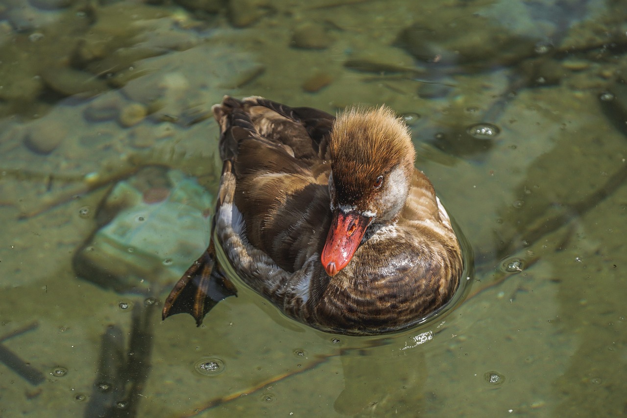 중도상환수수료 계산법