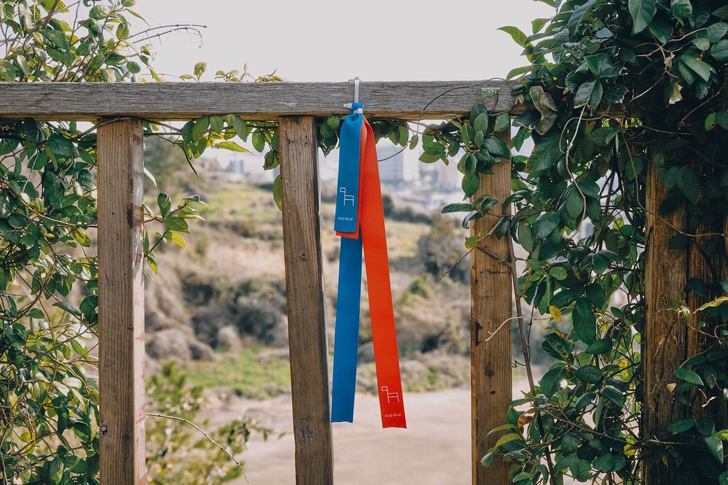 올레길 7코스 vs 10코스, 최고의 선택은? 🥾