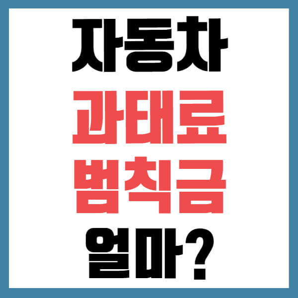 과태료 범칙금 금액