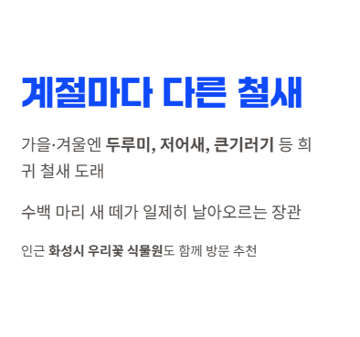 화성시 산책&middot;달리기&middot;트레킹 명소 완벽 가이드