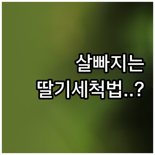 딸기 다이어트 효과 극대화하는 세척 ..