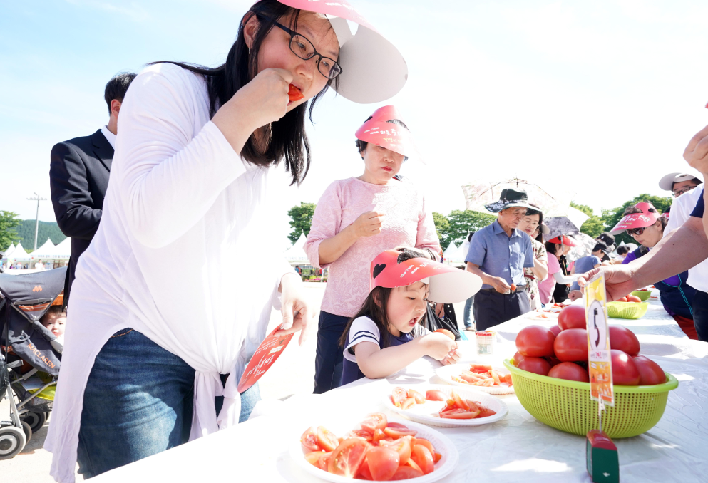 퇴촌 토마토 축제