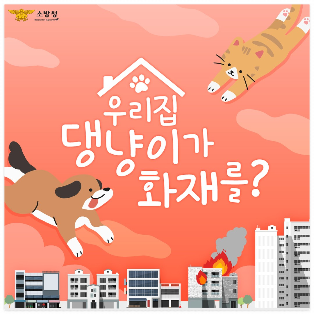 반려동물 화재 예방 실천 수칙