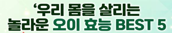 오이 효능