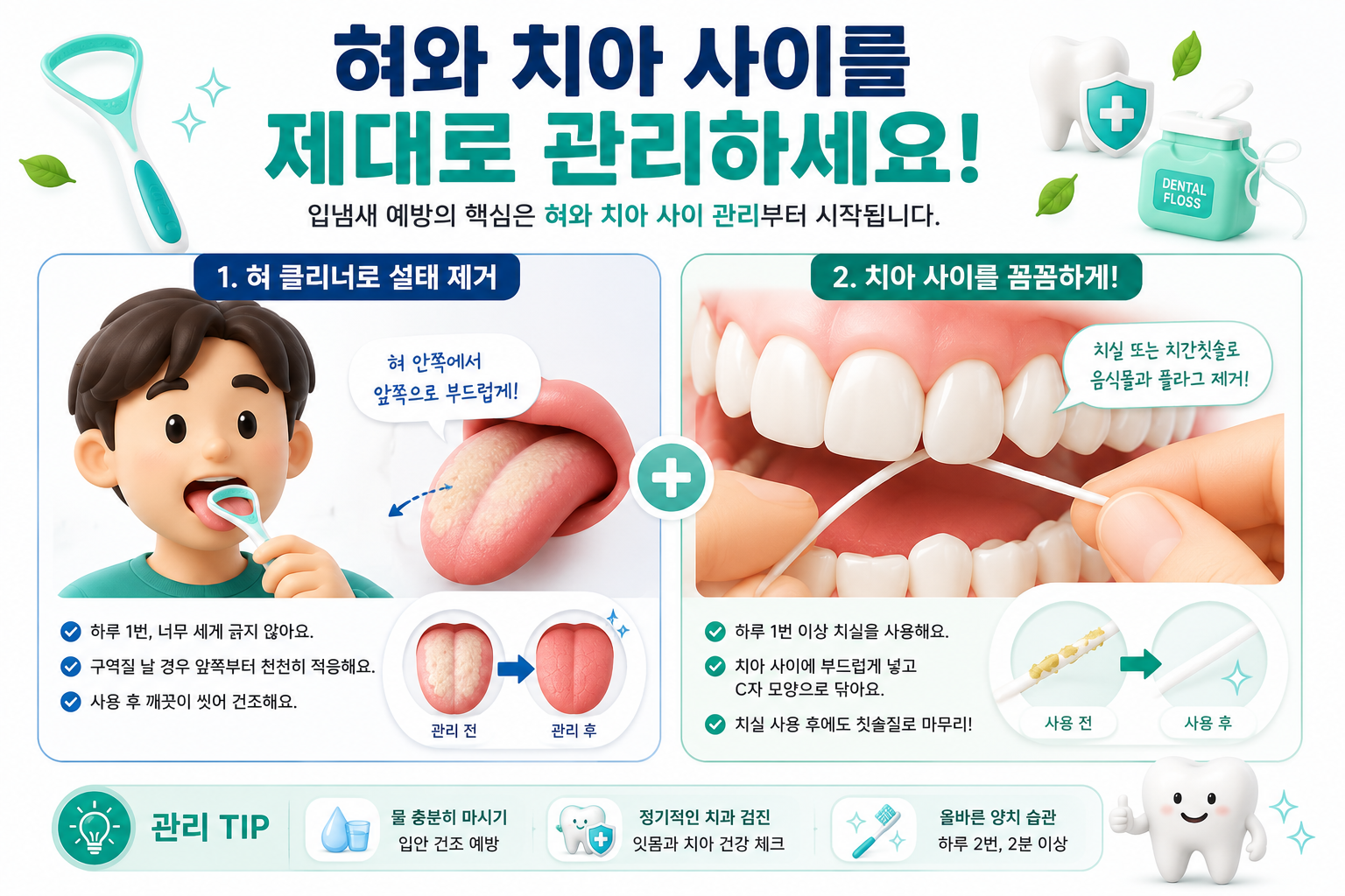 입냄새가 생기는 주요 원인을 정리한 인포그래픽