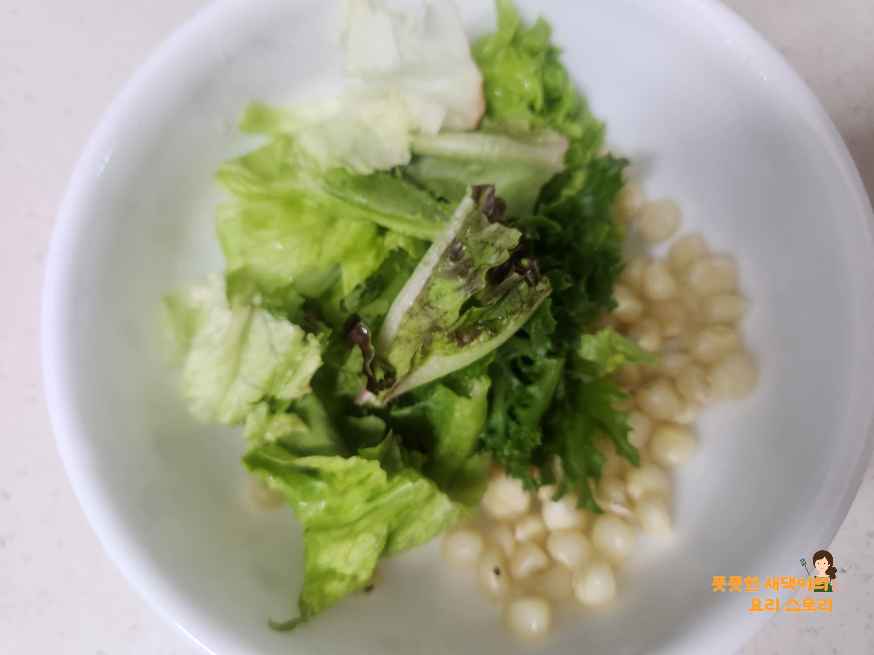 야채 적당히 넣기