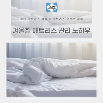 매트리스 관리 청소기 베이킹소다 회전주기 방수커버 팁_27