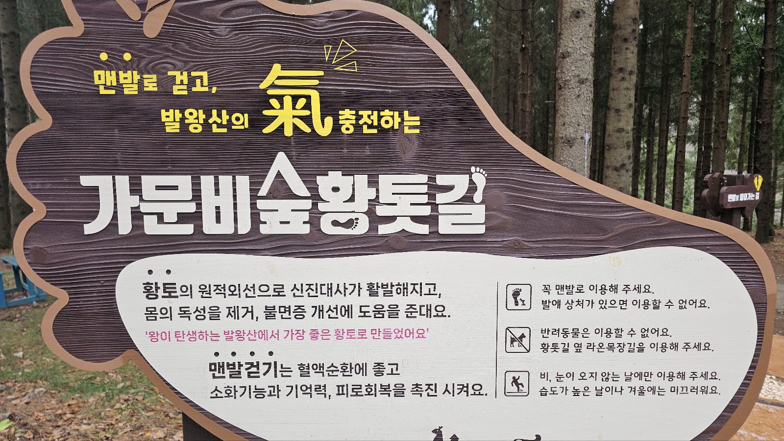 [24.11월] 아이와 평창 #1 - 모나 용평리조트 애니포레🏔️