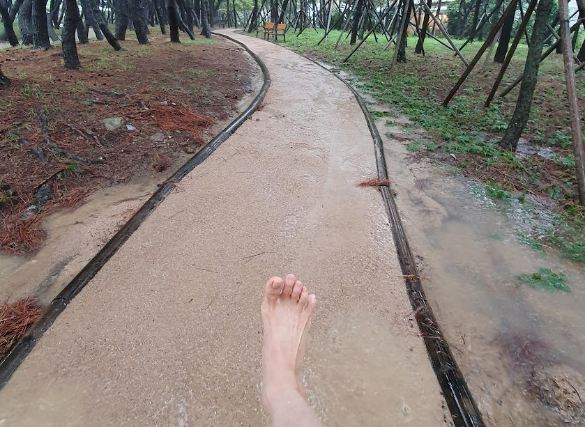 빗 속을 맨발로 거닐기