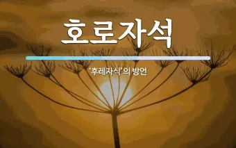호로자식 속담 뜻 유래 의미 어원_7