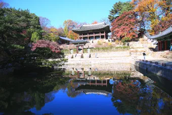 창덕궁 후원 예약 홈페이지 기간_48