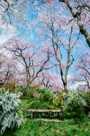 벚꽃 명소 근처 웰컴 키즈존(예스키즈존) 식당 완벽 가이드