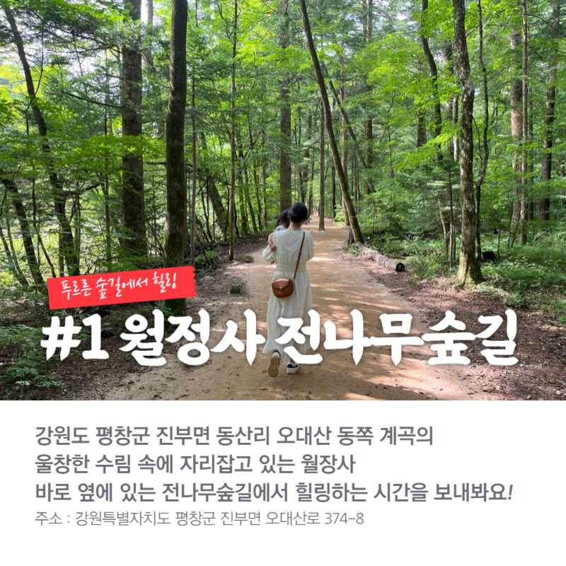 월정사 전나무 숲길