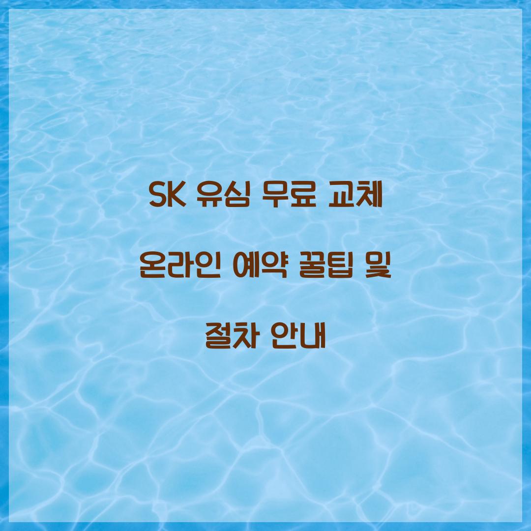 SK 유심 무료 교체 온라인 예약