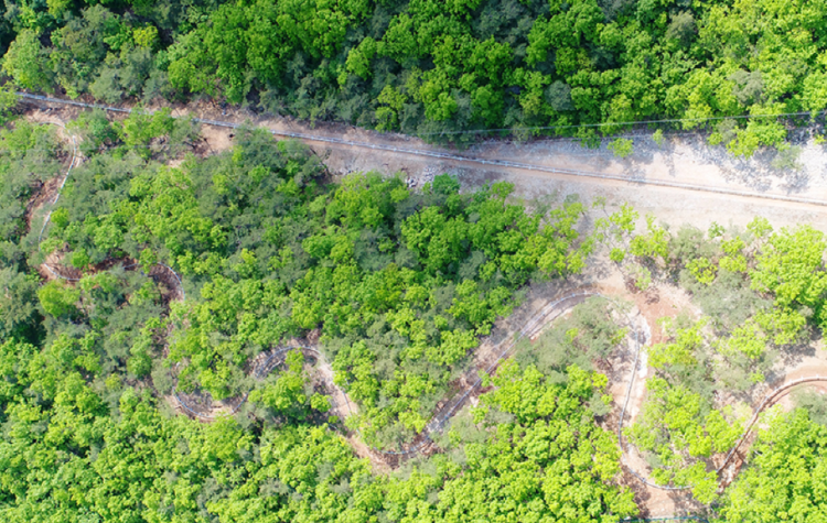 만천하 스카이워크