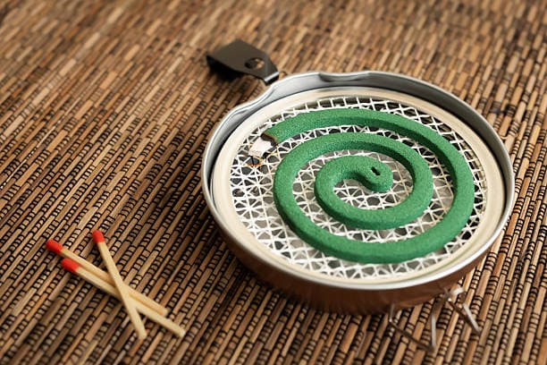 여름마다 모기약부터 찾는 경우가 많음