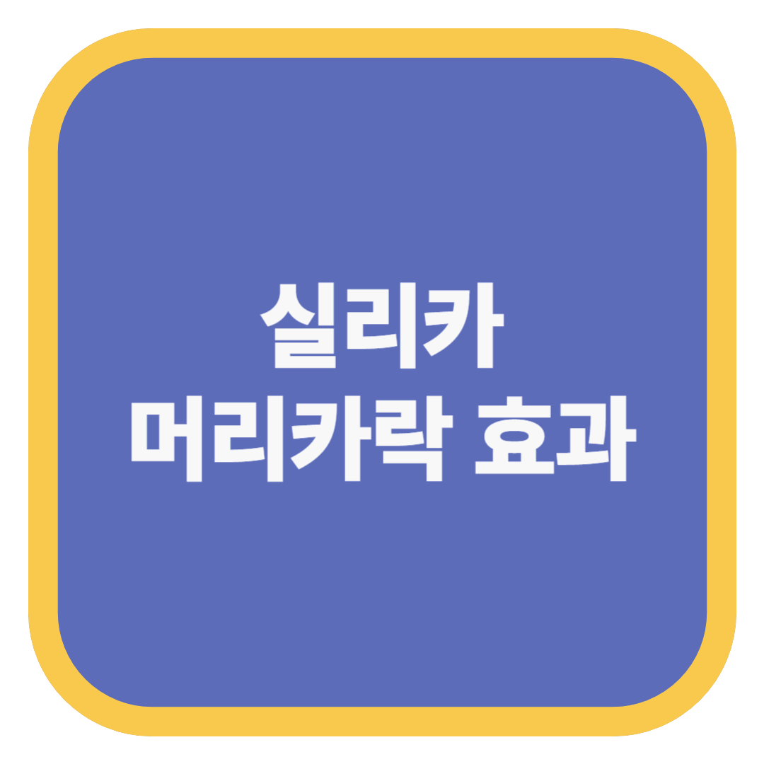 실리카 머리카락 효과