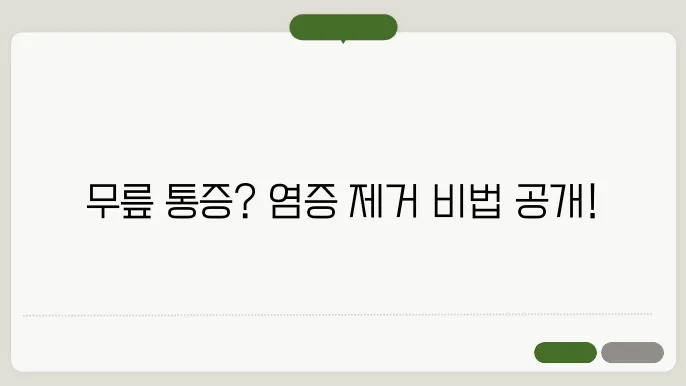 뮘릌 통증! 몸속 염증 제거하는 베스트 솔루션