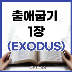 출애굽기 1장 1~22절 요약 [구약성경문제]