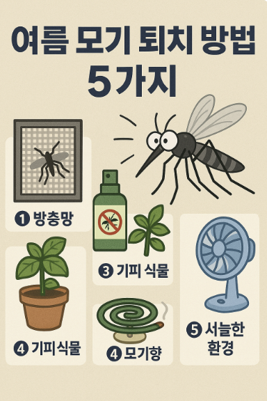 여름 모기 퇴치방법 5가지