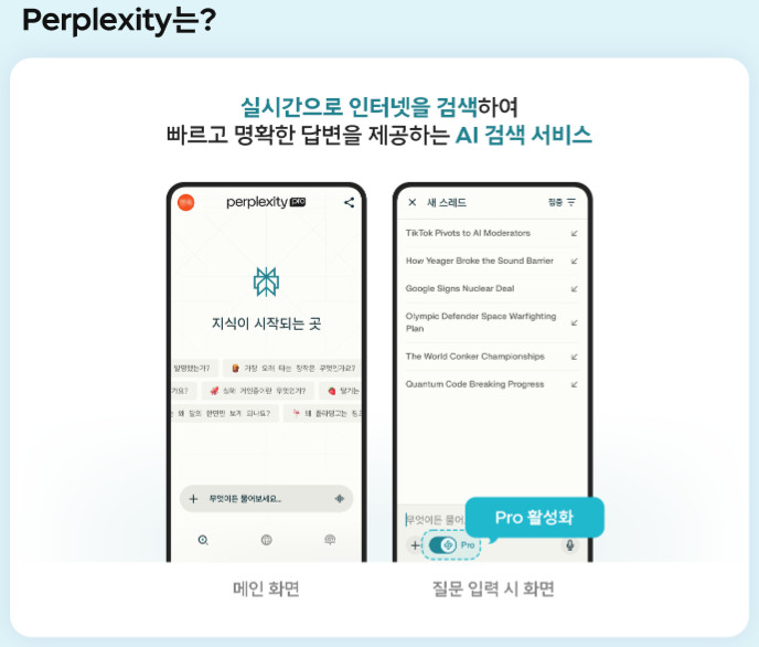 퍼플렉시티