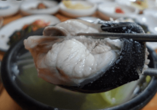 [6시 내고향] 부산 하단 까치복 밀키트 까치복 맑은탕 택배주문 판매 부산하단어촌계
