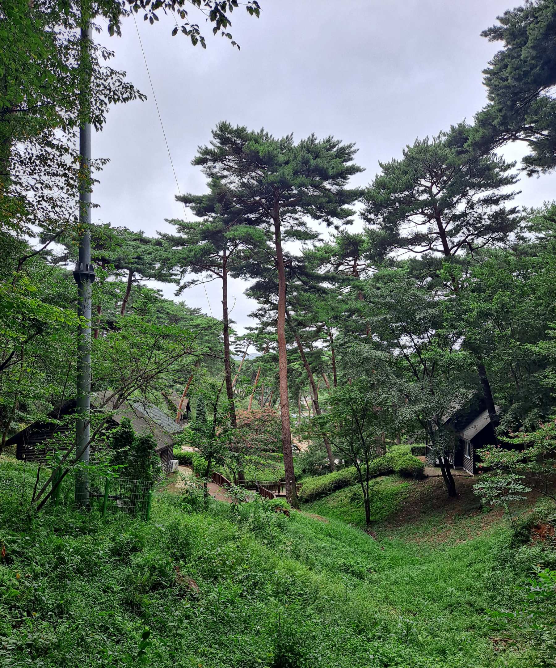 휴양림 숲속의 집