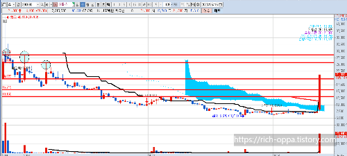 소룩스-주봉-차트