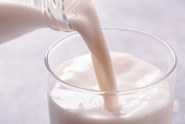 강아지와 우유/출처:어도비스톡