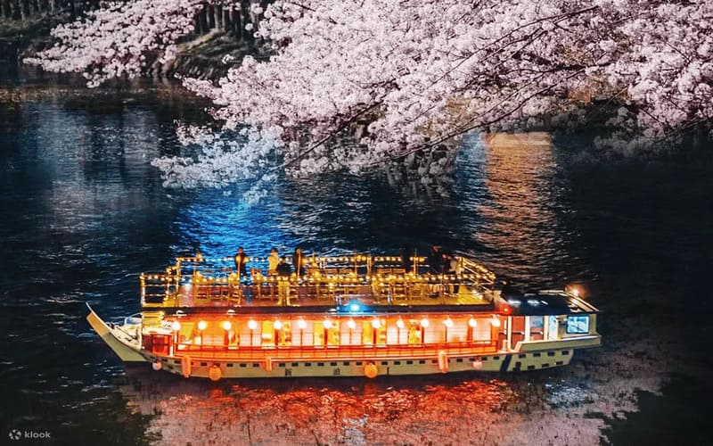 도쿄 만 크루즈 특별 야카타부네 스키야키 저녁 식사 일본 쇼