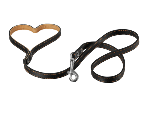 강아지 리드줄 사용법 하네스 산책 훈련 팁