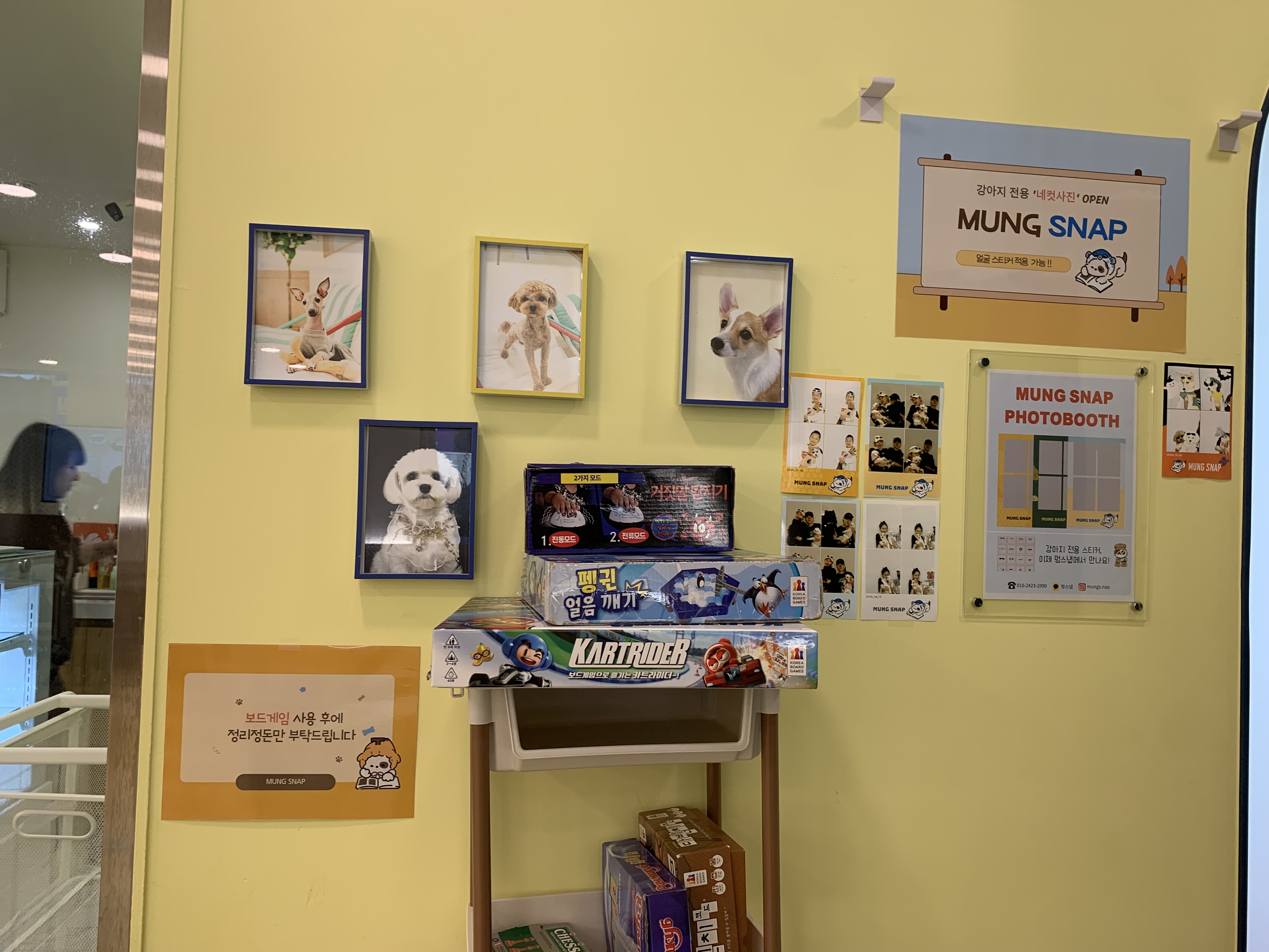 부천 부천시청 애견카페 애견유치원 애견호텔 멍스냅