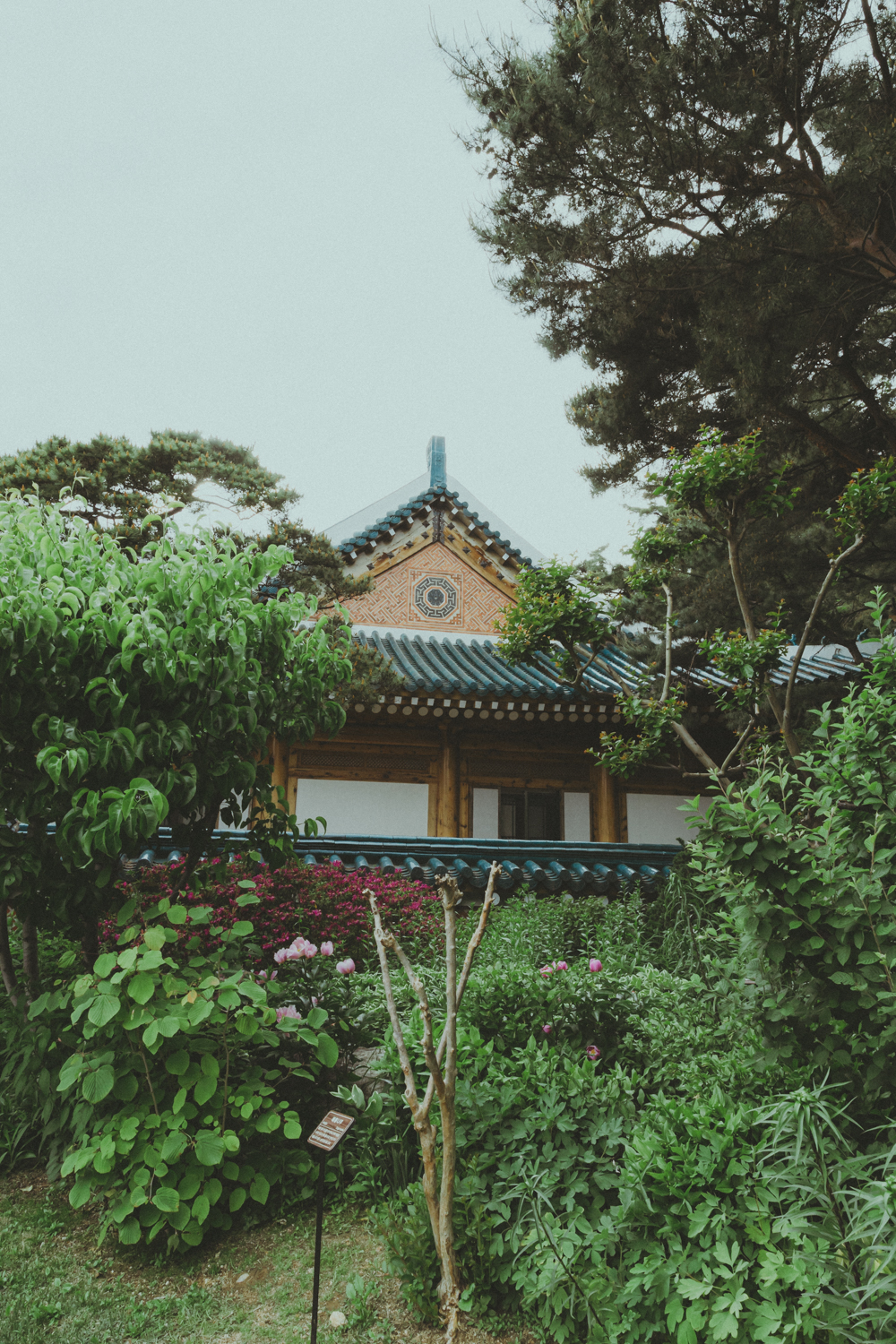 청와대-포토존