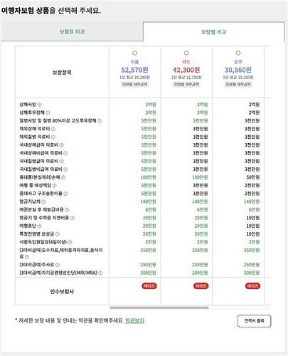 여행자 보험