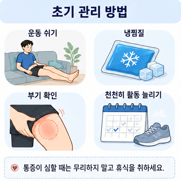 허벅지 안쪽 근육통이 있을 때 운동을 쉬고 냉찜질하며 부기를 확인한 뒤 활동을 천천히 늘리는 방법을 보여주는 이미지