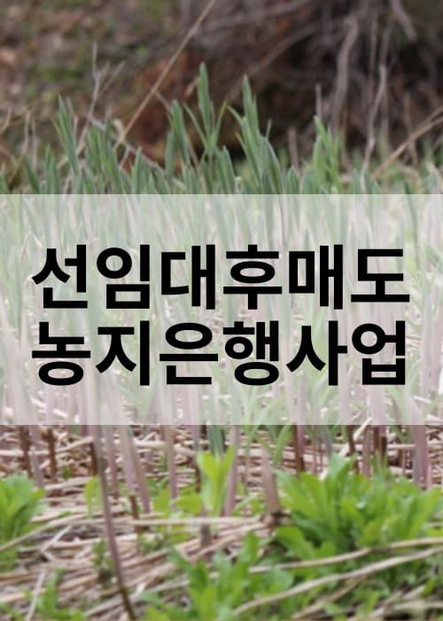 농지은행사업선임대후매도사업