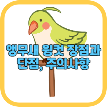 앵무새 윙컷 장점과 단점&#44; 주의사항