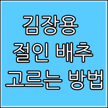 김장용 절인 배추 고르는 방법