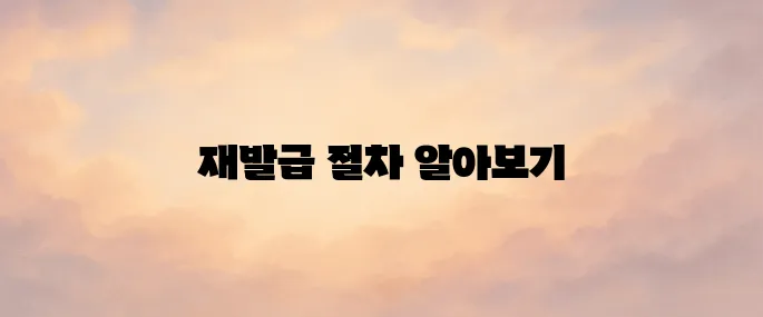 주민등록증 재발급 가이드